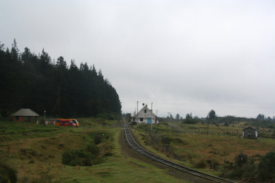 Our next stop was just ahead.  We got off the train to visit a rose farm.