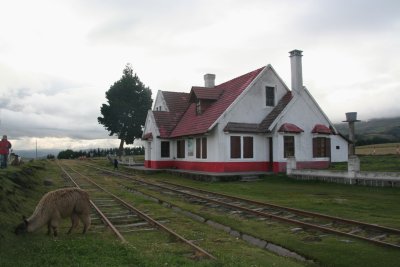 A bucolic photo of the Taller de Tagua gift shop, which is next to the train tracks.