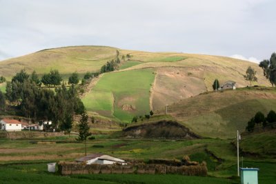 The landscape is very verdant because it rains a lot there.