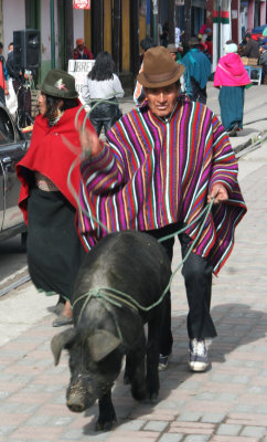 This Indian man was coaxing his pig through the market.