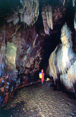 Postcard showing some of the internal cave system of Predjamski Castle.