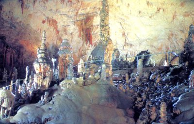 Stalagmites inside the Postojna Cave.