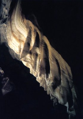 This formation is known as the lace.