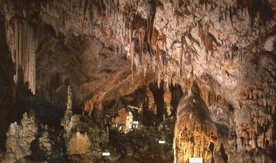 Interior cavern of the Postojna Cave with stalagtites.
