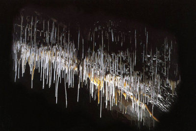 This formation is known as the spaghetti.