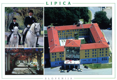 Postcard of Lipica where the stud farm is located and Lipizzaner horses are breed.