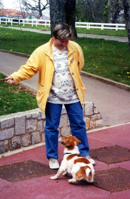 This cute puppy was playing fetch with a stick when I visited Lipica.