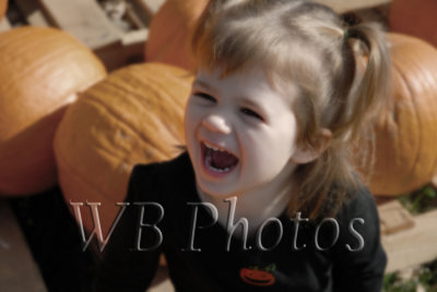 g1/73/704773/3/104892681.0B2ccGtC.jpg