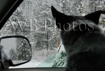 g1/73/704773/3/109311689.2V9fdJyY.jpg
