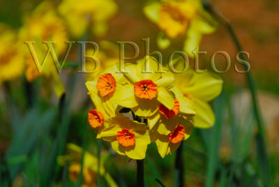 g1/73/704773/3/110823459.I2v7TIwB.jpg