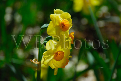 g1/73/704773/3/110823461.qxgmPRew.jpg