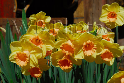 g1/73/704773/3/110823539.km3hq8Hd.jpg