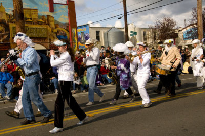 Procession of the Species - - 2009