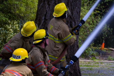 House Fire - Olympia, WA