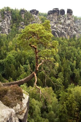 Elbsandsteingebirge Erzgebirge