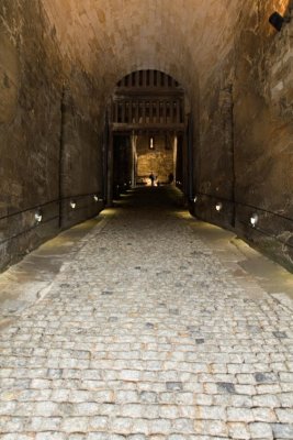 _MG_7948.JPG