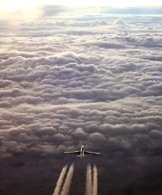 g1/73/721973/3/106749134.AsVenMFq.jpg