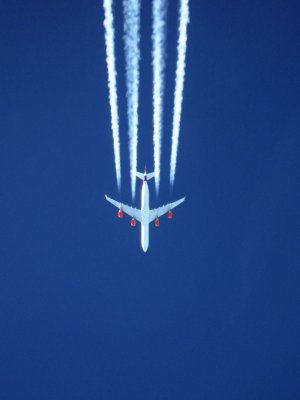During KLM Flights