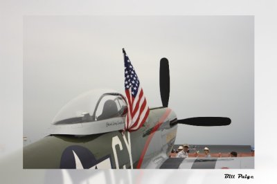 Proud colors of the Mustang