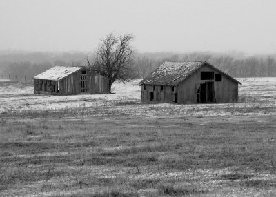 Forgotten Barns II