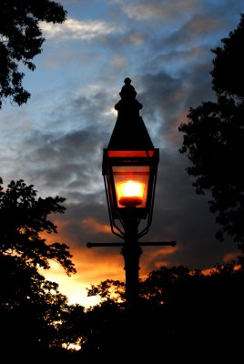 DSC_2321.jpg