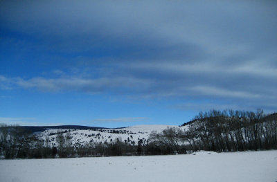 IMG_2775a.jpg