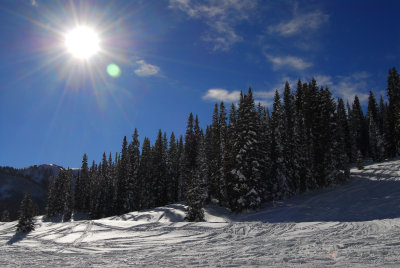 DSC_5650a.jpg