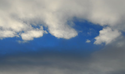 DSC_5600a.jpg