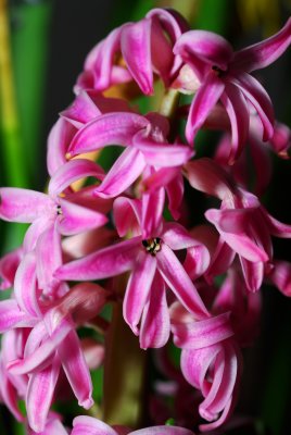DSC_5773a.jpg