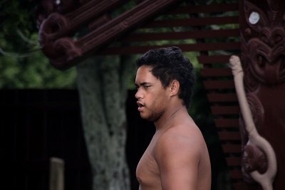 Maori dancer 2
