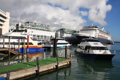 Auckland harbour