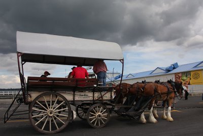 Devonport ride