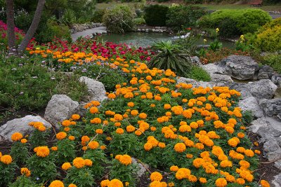 Gardens, Napier 2