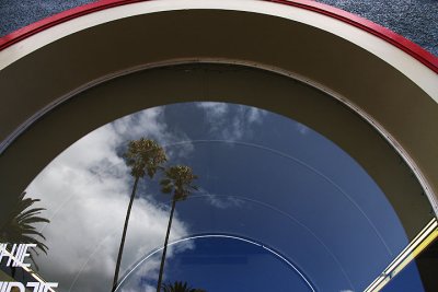 Palm trees reflected