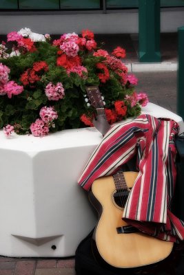 Geraniums and guitar