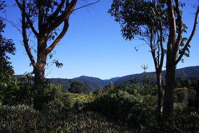 Travelling to LOTR country, Wellington