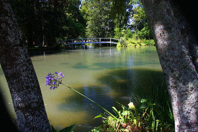 LOTR lake 2