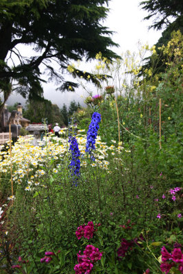 A garden scene