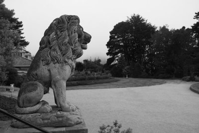 Lion guardian
