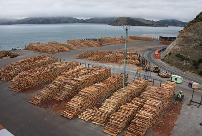 Timber on the docks