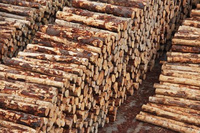 Timber