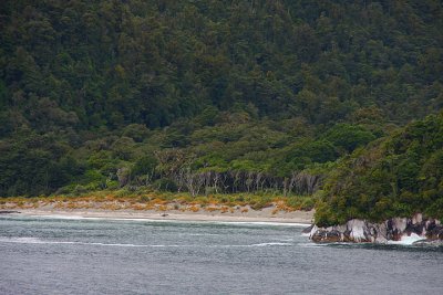 Doubtful sound 7