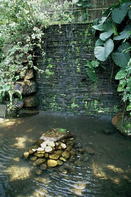 Kadoorie farm snap