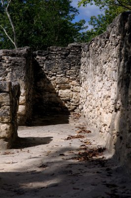 Coba Mayan Ruins Mexico