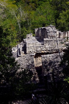 Coba Mayan Ruins Mexico