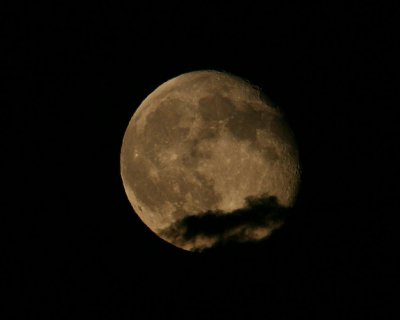 Yellowstone Waning Gibbous Moon.jpg
