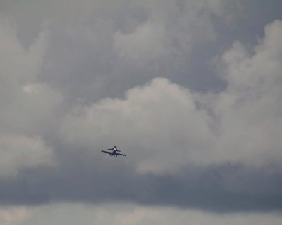 g1/73/774673/3/117596295.C3W5PnqT.jpg