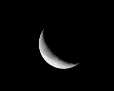 IMG_7011.jpg