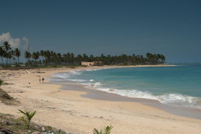 DSC_0138.jpg