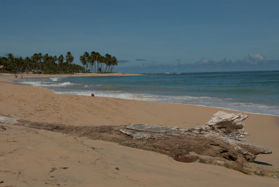 DSC_0421.jpg